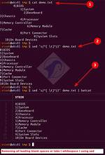 Remove All System Function with Sed Command