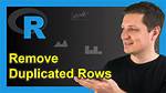 Remove Duplicated Rows