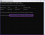 Remove Network Interface Permanently