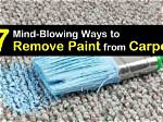 Remove Paint from Carpet