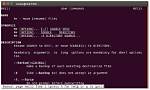 Rename File Using Regex (Linux Command Line)