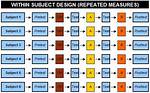 Repeated Measures Design