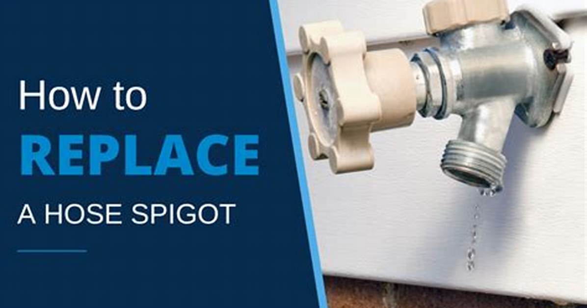 Replace Hose Spigot
