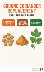 Replacement for Coriander