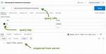 Req. Query and Req. Param in Expressjs