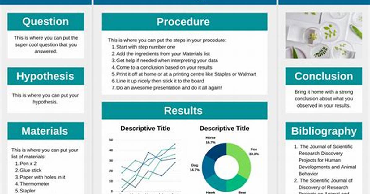 Research Projects