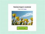 Resize Image with Javascript Canvas (Smoothly)