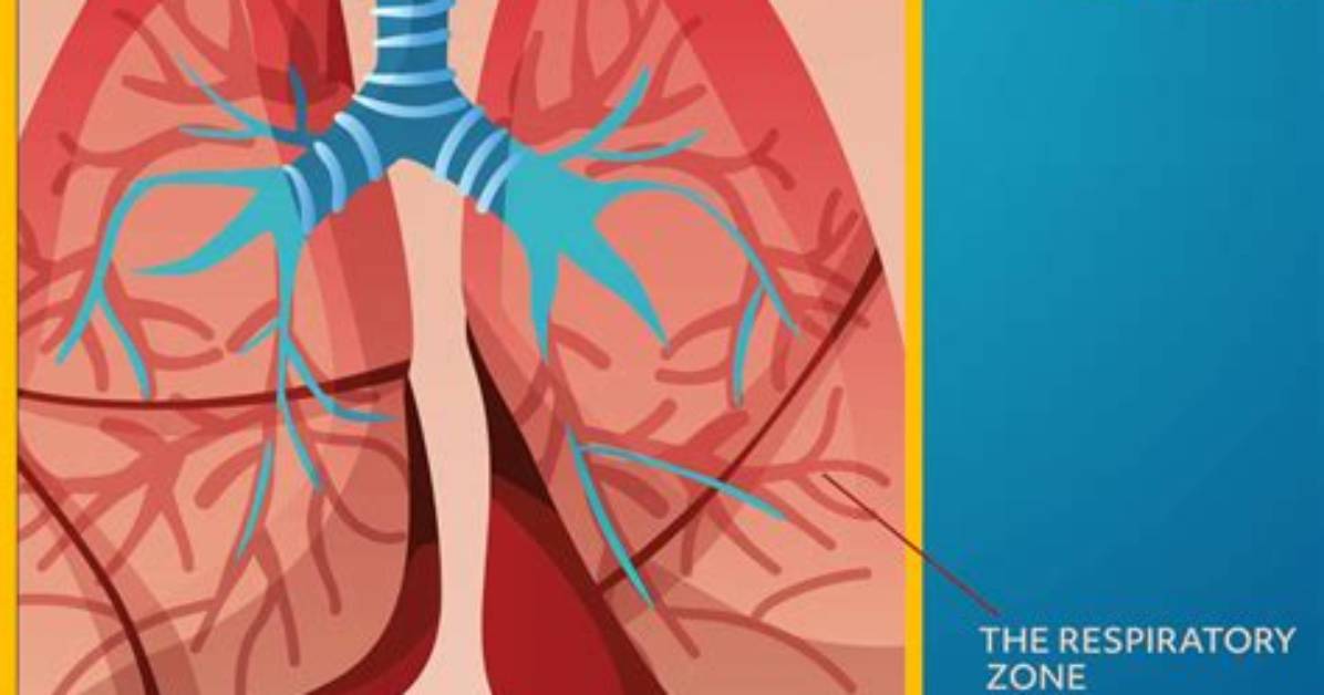 Respiratory Zone