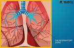 Respiratory Zone
