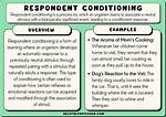 Respondent Behavior