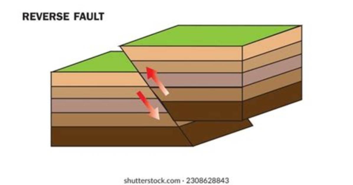 Reverse Fault