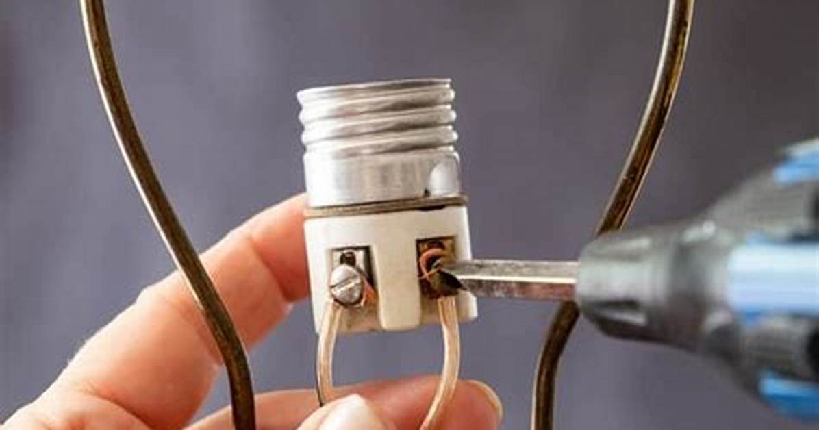 Rewire Lamp
