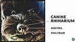 Rhinarium