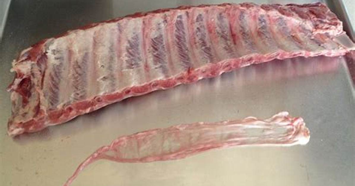 Rib Membrane