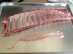 Rib Membrane