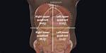 Right Upper Quadrant Organs