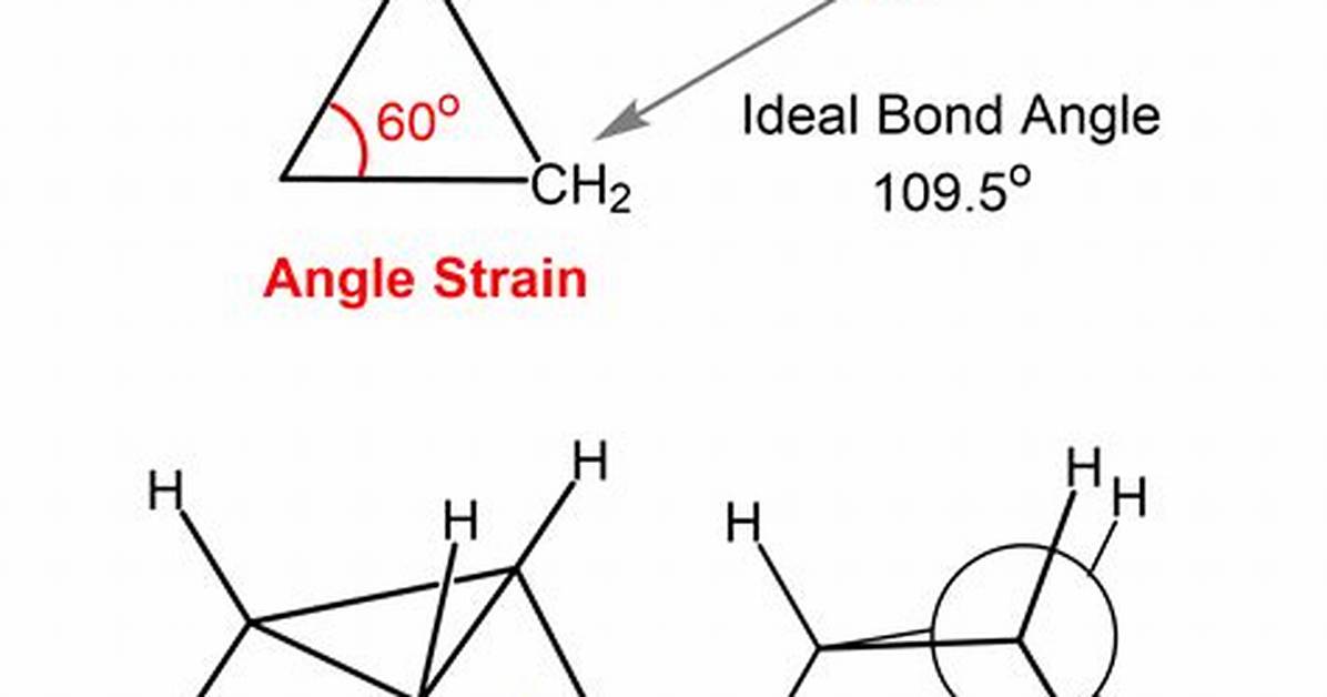 Ring Strain