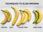 Ripen