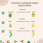 Ripens