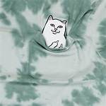 Ripndip Cat