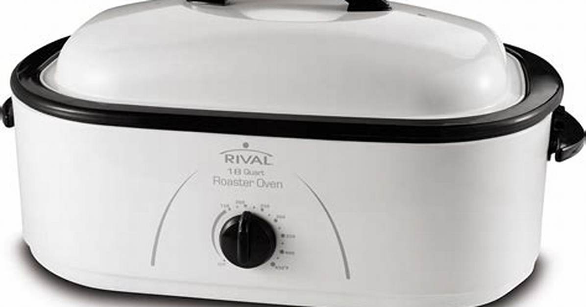 Rival Electric Roaster