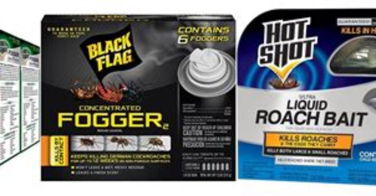 Roach Bomb for Car