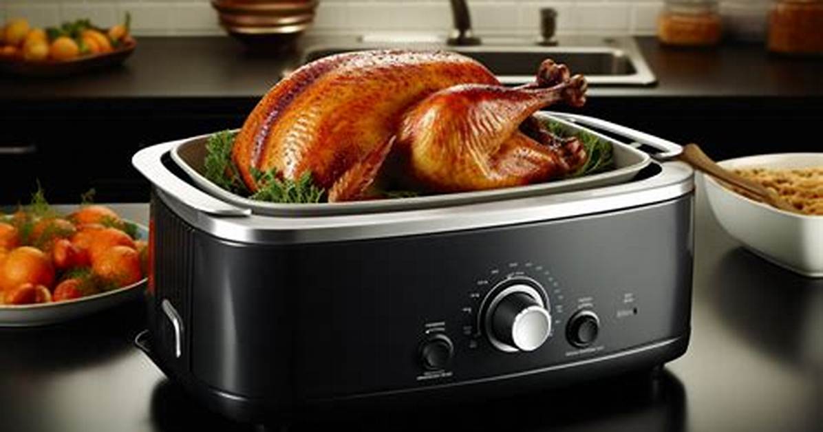 Roaster Ovens
