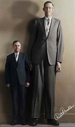 Robert Wadlow