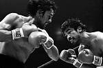 Roberto Duran