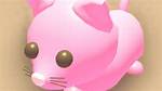 Roblox Adopt Me: Pink Cat Worth [And Neon Pink Cat]