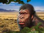 Robust Australopiths