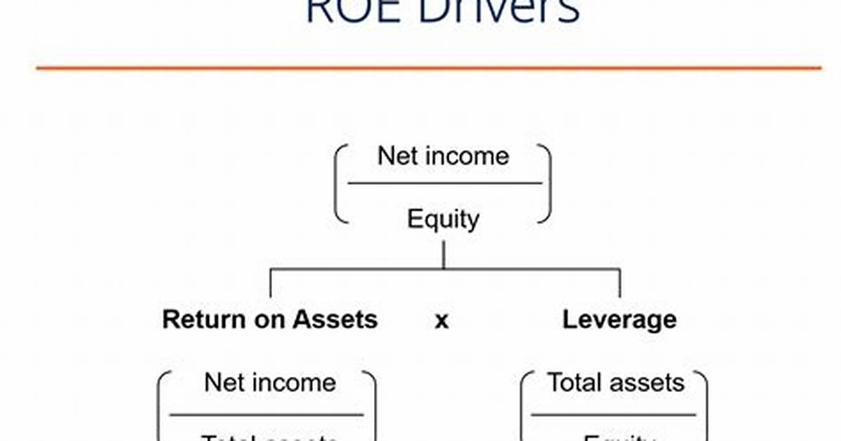Roe Full Form
