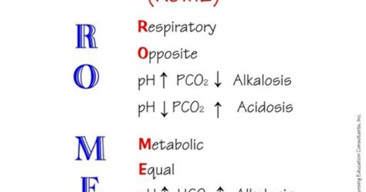 Rome Acid Base