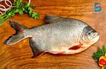 Roopchand Fish