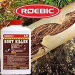 Root Killer for Drains