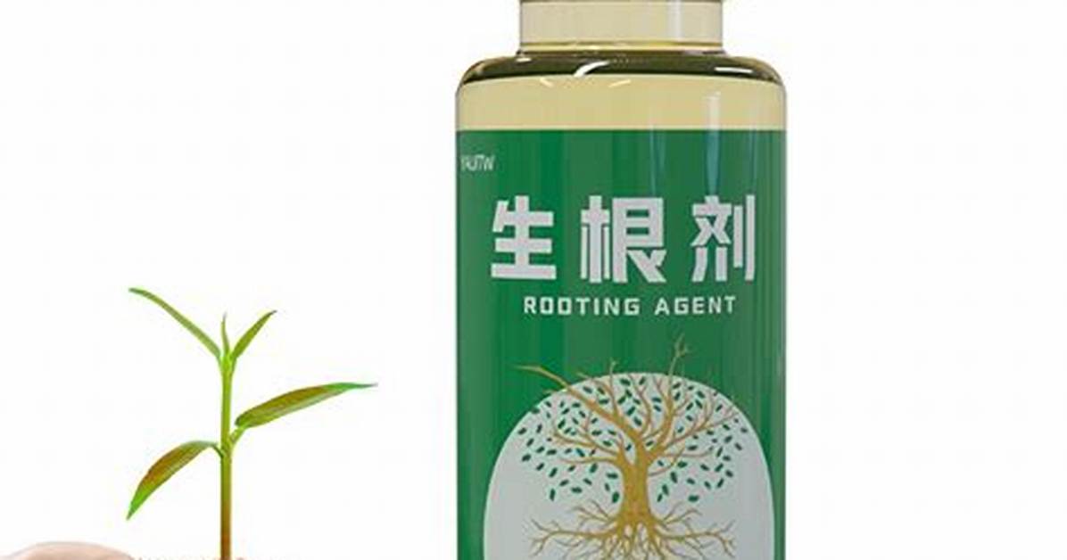 Root Stimulator