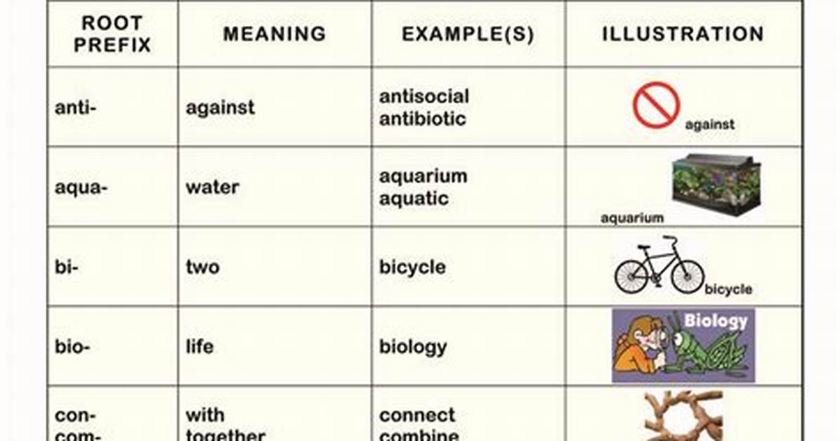 Root Word Log