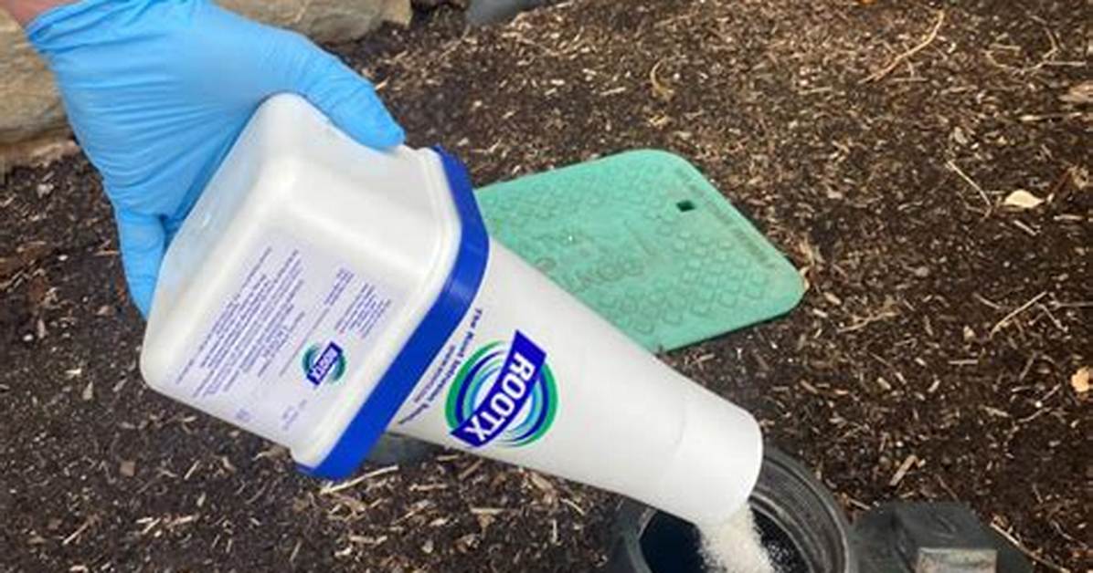 Rootx Root Killer