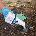 Rootx Root Killer