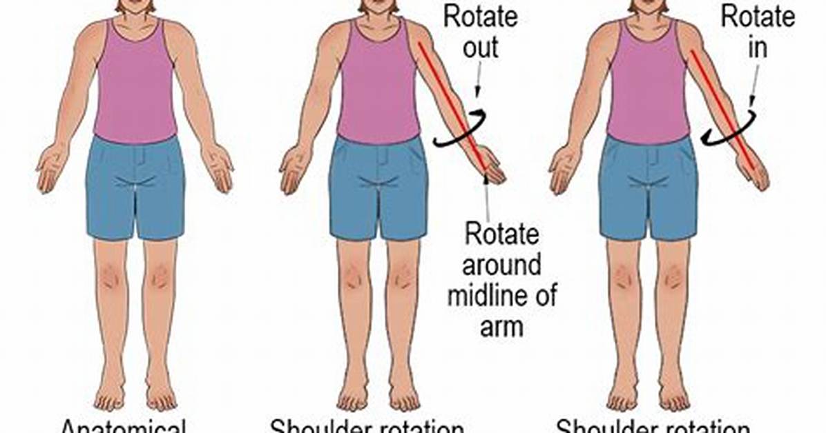 Rotation Movement