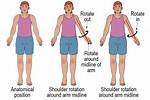 Rotation Movement