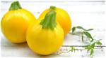 Round Yellow Squash