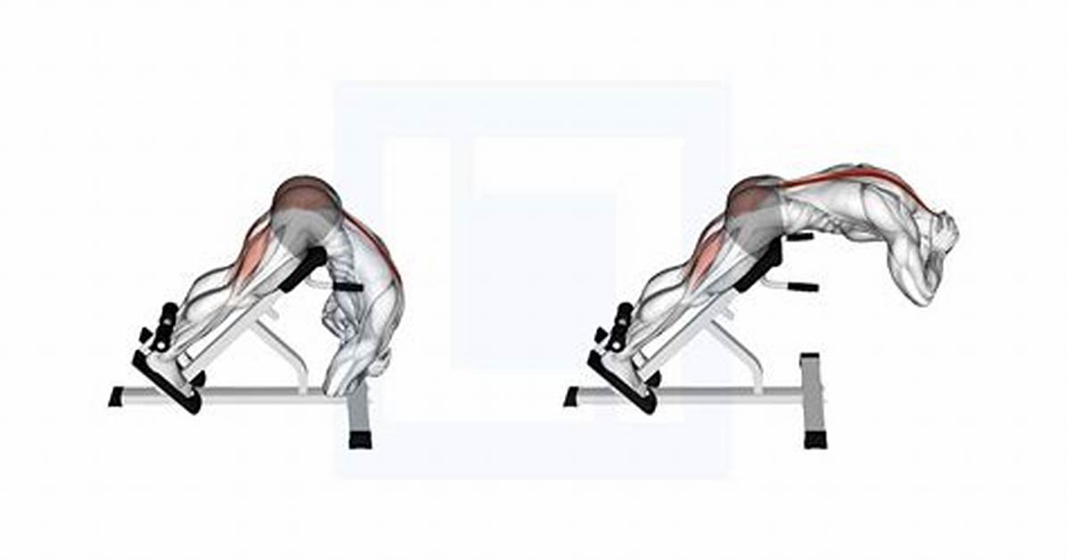 Rounded Back Extensions