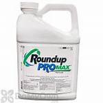 Roundup Pro Max