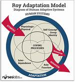 Roy Adaptation Model