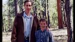 Roy Jeffs