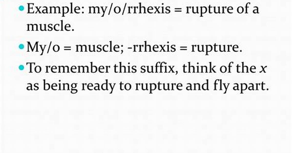 Rrhexis