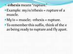 Rrhexis