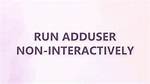 Run Adduser Non-Interactively