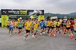 Run ___ (Go Wild)